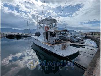 Hatteras 50 CONVERTIBLE