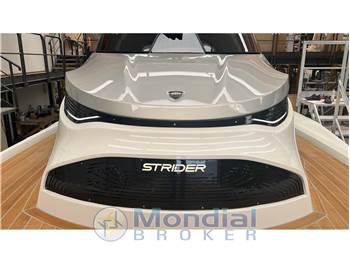 Sacs New Strider 13 FB