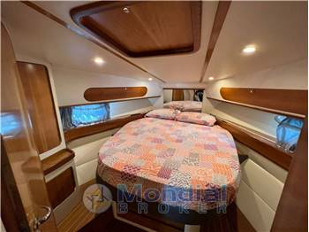 BRUNO ABBATE PRIMATIST G 50 HT