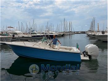 BAYLINER TROPHY 2503