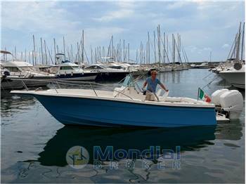 BAYLINER TROPHY 2503