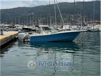 BAYLINER TROPHY 2503