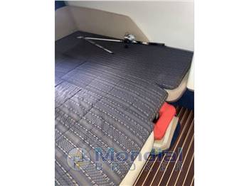 cranchi endurance 41