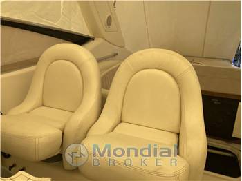 cranchi endurance 41