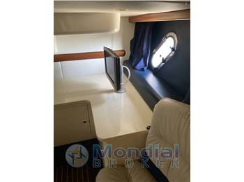 cranchi endurance 41