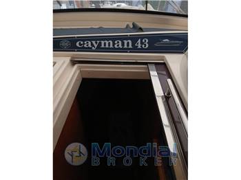 cayman 43