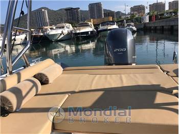 Salpa Soleil 23