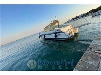 C.N. Squalo Baia 40