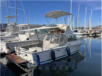 Riva Bertram 25
