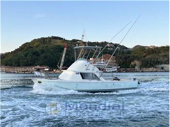 Bertram 31