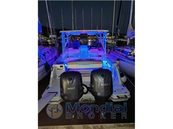 Robalo R 317