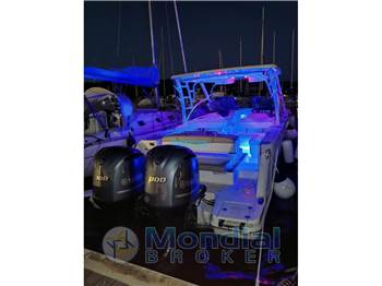 Robalo R 317