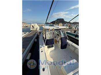 Boston Whaler 295Conquest