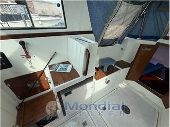 Automarine TORTUGA 27