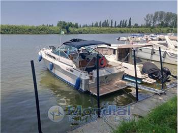 Sea Ray 300 DA