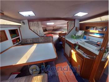 Sea Ray 300 DA