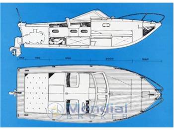 Cosca GEMINI 23 day