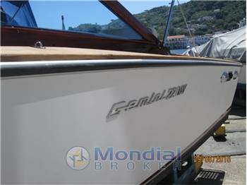 Cosca GEMINI 23 day