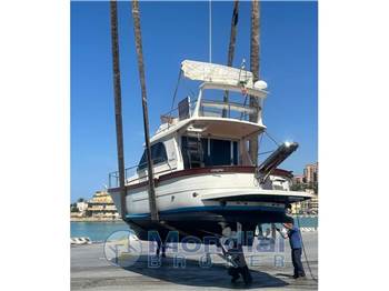 Sciallino Sciallino 34' Fly