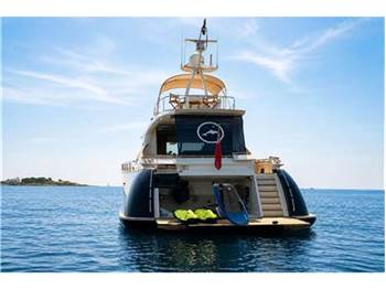 Mochi craft Dolphin 74