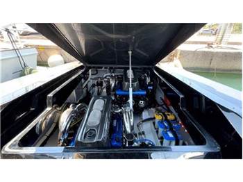 Goldfish 38 sport