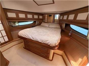 Mochi craft Dolphin 64