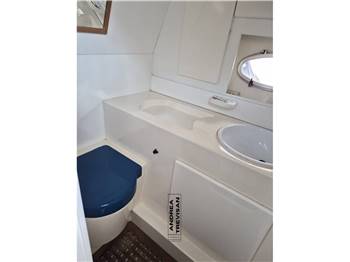 GIORGI GIORGI 39 OPEN