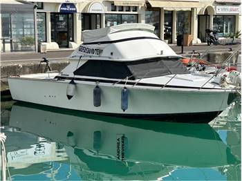 BERTRAM 28 FLY