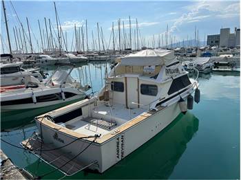 BERTRAM 28 FLY