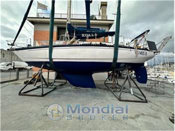 Manta Koala 38