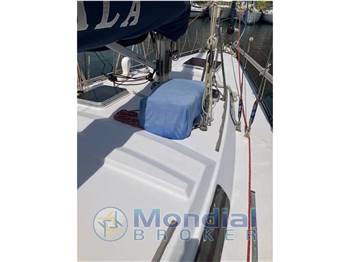 Manta Koala 38