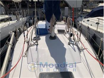 Manta Koala 38