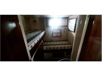 Dual Craft 56 Open