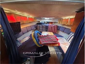 Scarani Cruiser 31