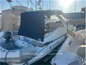 Scarani Cruiser 31