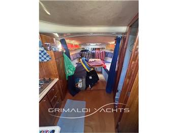 Scarani Cruiser 31