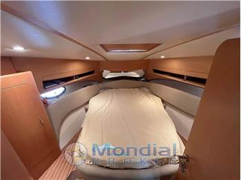 Primatist Primatist G 41