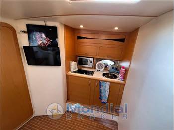 Primatist Primatist G 41