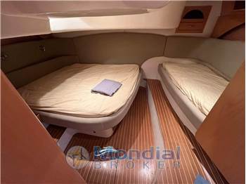 Primatist Primatist G 41