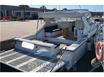 Trojan Yacht-Bertram 38 Express