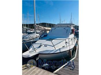 Plastik SPACE 290 CRUISER