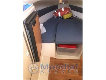 Polyform Barrabuda 24 USATO