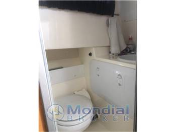 Polyform Barrabuda 24 USATO