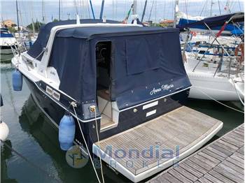 Sea Ray 300 DA USATO