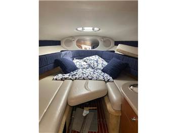 Crownline 315 SCR