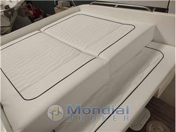Airon Marine Paolo Molinari Airon 22 fish