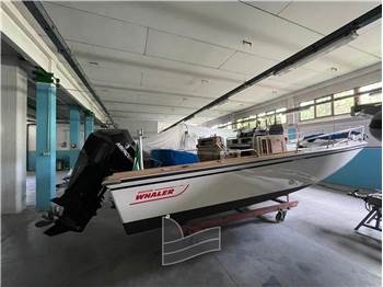 Boston Whaler OUTRAGE 22