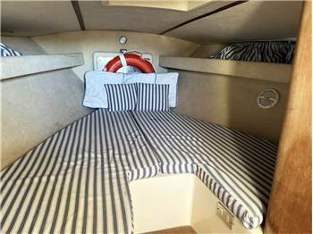 Colombo SUPER INDIOS 31 HT