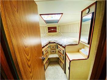 Bertram 38