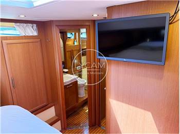 Mochi Craft 51 Dolphin